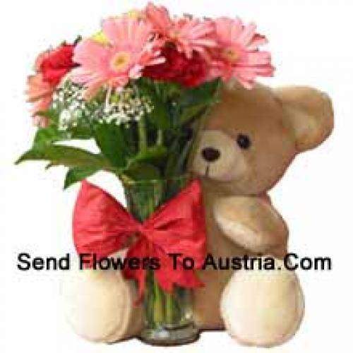 11 Red Carnations and Pink Gerberas with Teddy