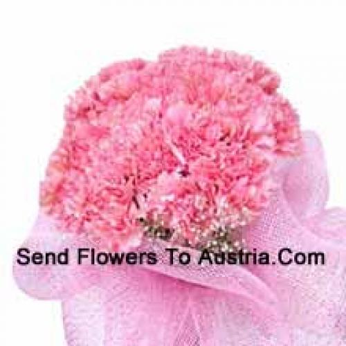 Cute 25 Pink Carnations