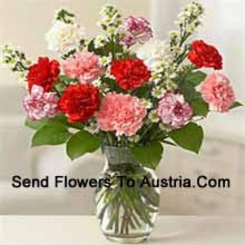 Cute 11 Mixed Carnations