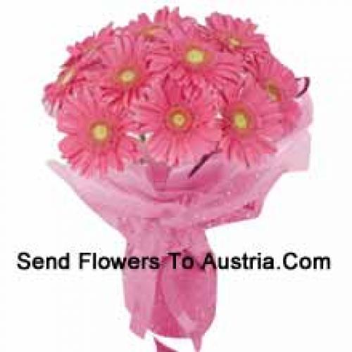 11 Pink Gerberas hand Bunch