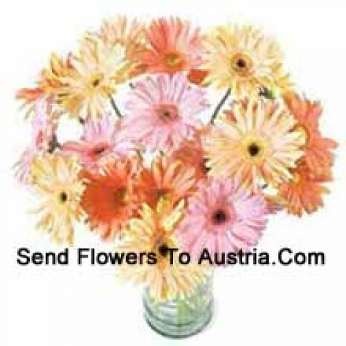 25 Gerberas Variadas Chiques