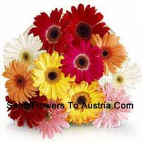 11 Assorted Gerbera's met Vulmiddelen