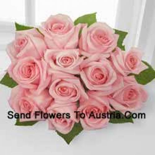 11 Beautiful Pink Roses